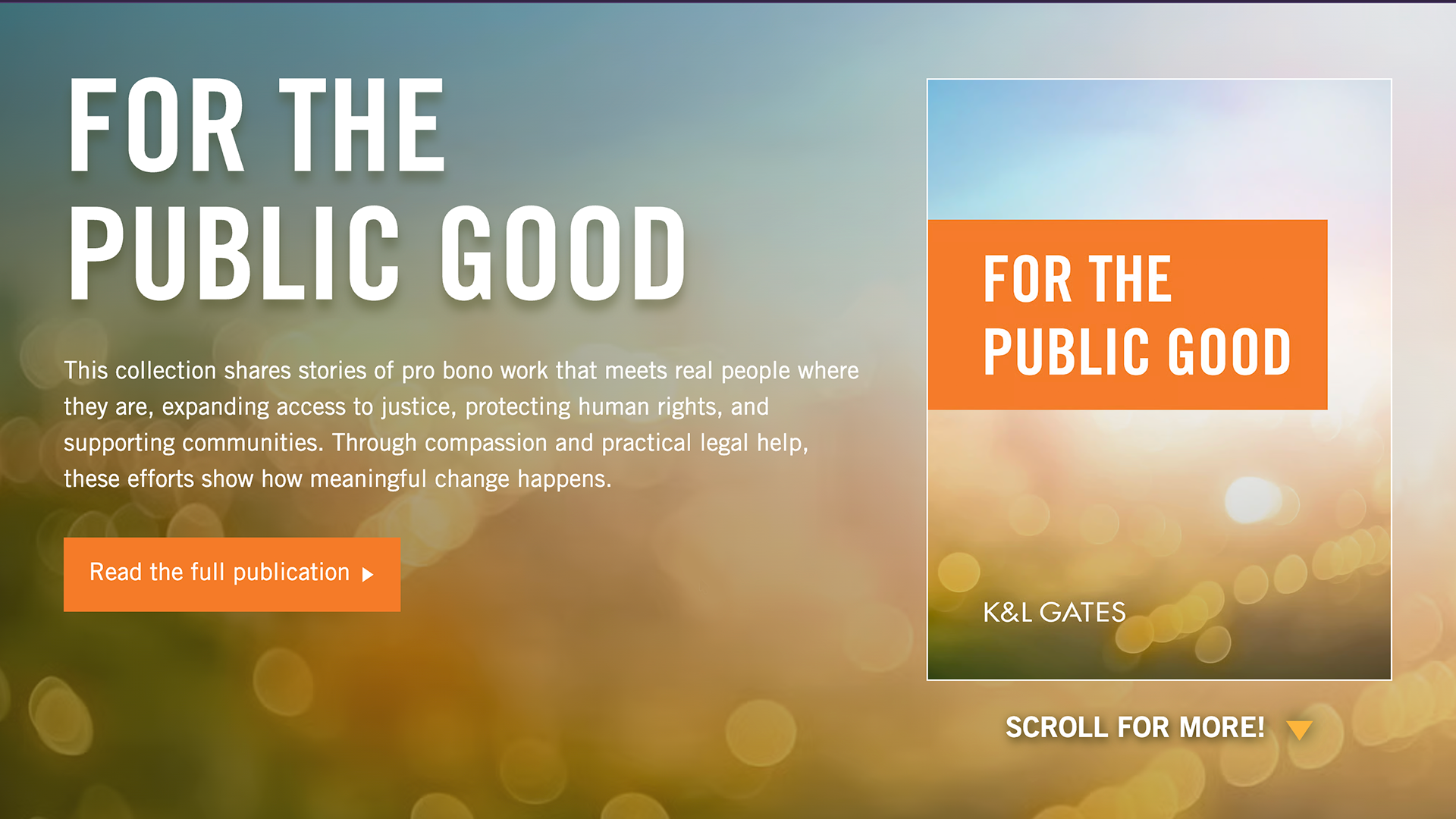 sm-for-the-public-good-landing-page-slider-01